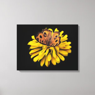 Impressão Em Tela Borboleta e flor amarela