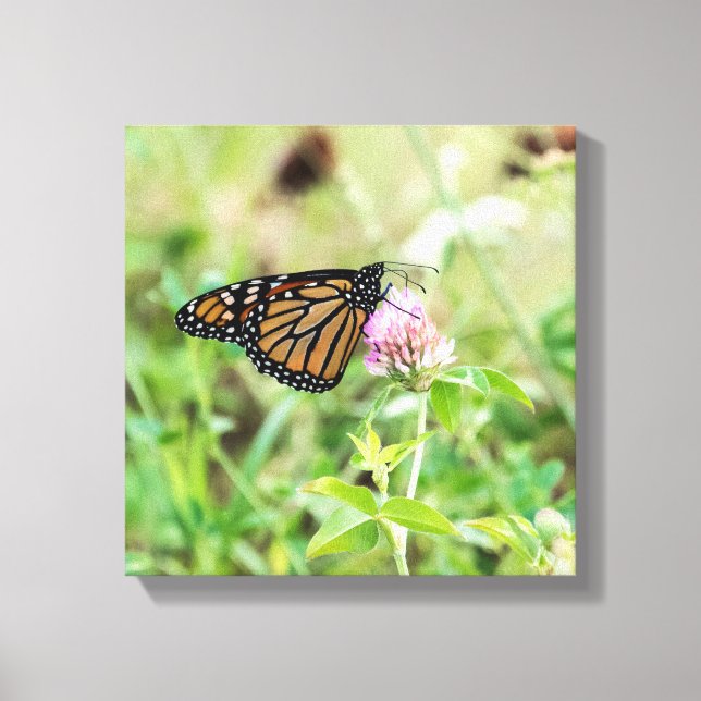 Impressão Em Tela Borboleta Monarca (Frente)