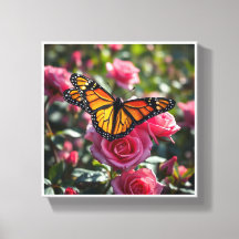 Borboleta Monarca Colorida Exibindo suas Asas