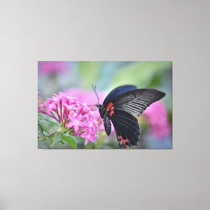 Impressão Em Tela Borboleta na flor