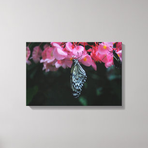 Impressão Em Tela Borboleta Pendurada nas Flores