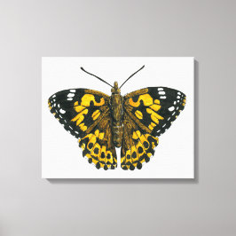 Impressão Em Tela Borboleta pintada