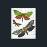 Impressão Em Tela Borboletas 4<br><div class="desc">Animais e Natureza</div>