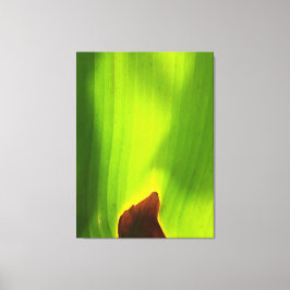 Impressão Em Tela Borda Ardente da Vida Folha Verde Abstrata da Natu