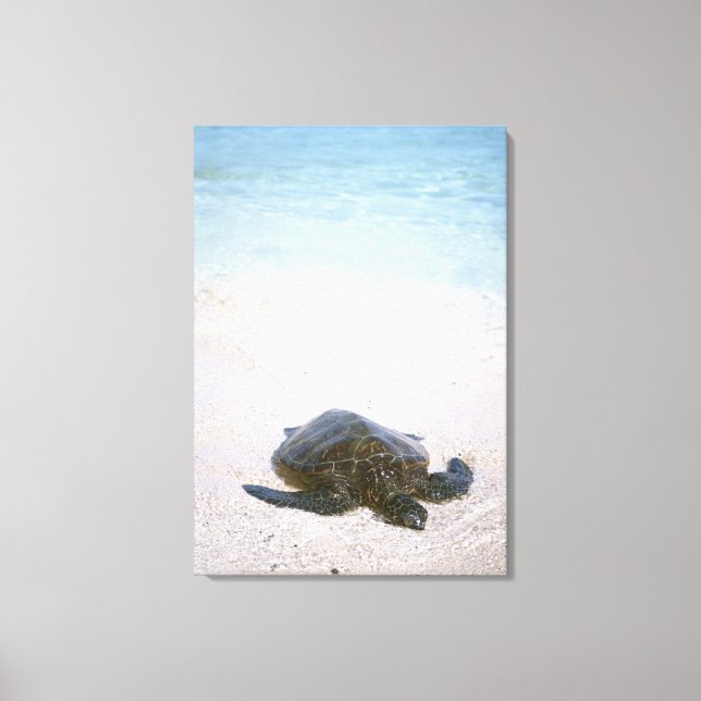 Impressão Em Tela Borda da água (Frente)