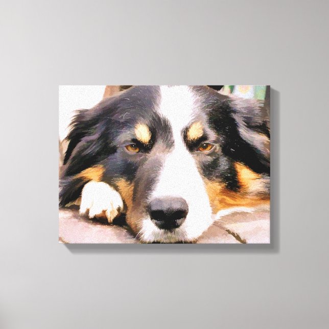 IMPRESSÃO EM TELA BORDER COLLIE (Frente)