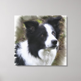 Impressão Em Tela Border Collie Art