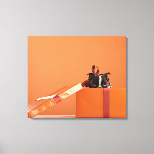 Impressão Em Tela Boston terrier cachorrinho