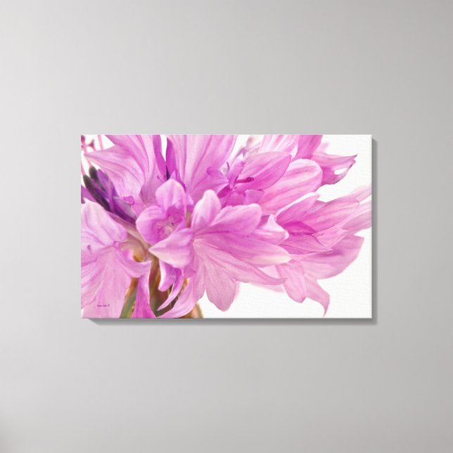 Impressão Em Tela Botão Batchelor (Frente)