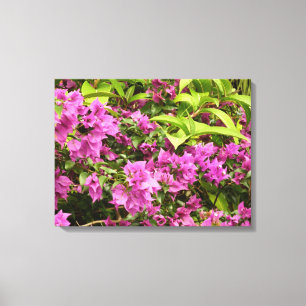 Impressão Em Tela Bougainvillea Floral