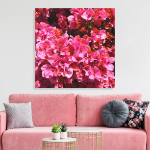 Impressão Em Tela Bougainvillea Pink Tropical Vining Shrub Foto