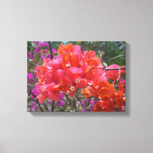 Impressão Em Tela Bougainvillea rosa tropical