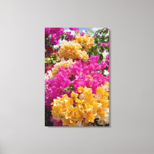 Impressão Em Tela Bouganvilleau, Cayman Brac, Ilhas Cayman,