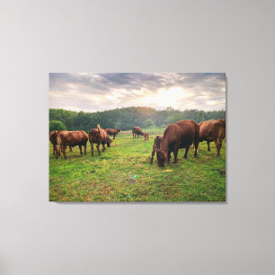Impressão Em Tela Bovinos Ao Sol