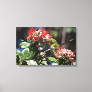 Impressão Em Tela Branco-olho japonês