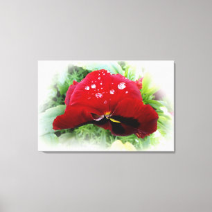 Impressão Em Tela Bright Red Pansy