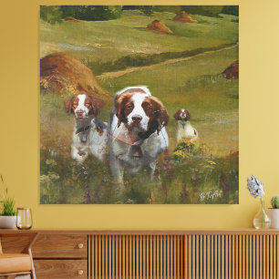 Impressão Em Tela Brittany Spaniel