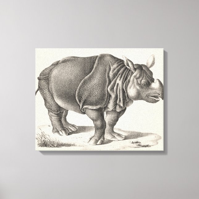 Impressão Em Tela Brodtmann Rhinoceros Sketch (Frente)