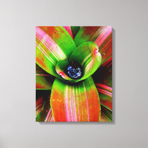 Impressão Em Tela Bromelia