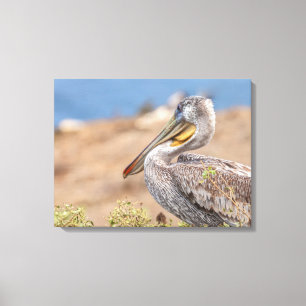 Impressão Em Tela Brown Pelican