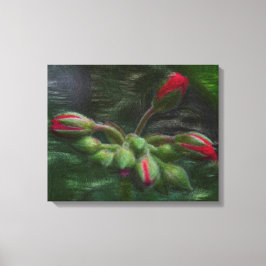 Impressão Em Tela Buchas de Gerânio Flor