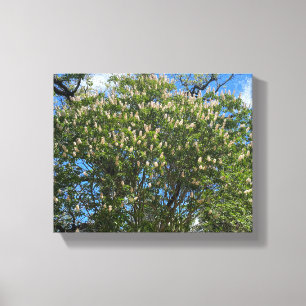 Impressão Em Tela Buckeye Sky