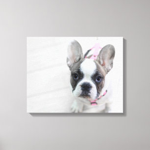 Impressão Em Tela Buldogue francês Sassy