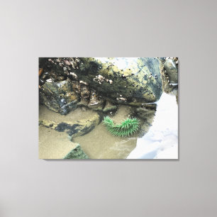 Impressão Em Tela Bullards Beach State Park, Bandon, Oregon