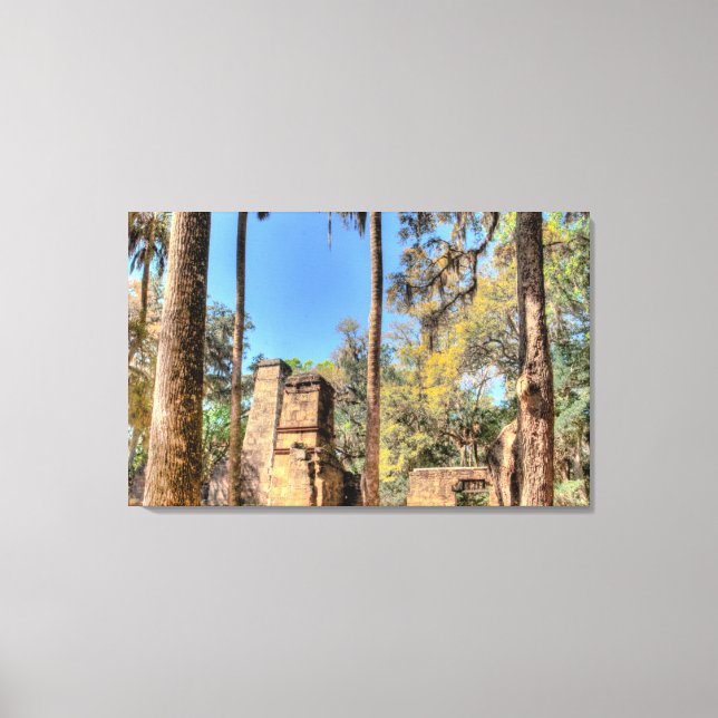Impressão Em Tela Bulow Plantation Ruins, Florida (Frente)