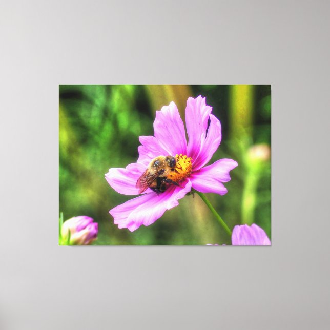 Impressão Em Tela Bumble Bee em Cosmos Rosa (Frente)