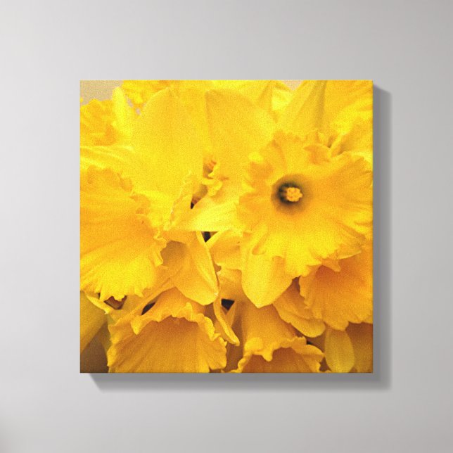 Impressão Em Tela Buquê de Daffodils (Frente)