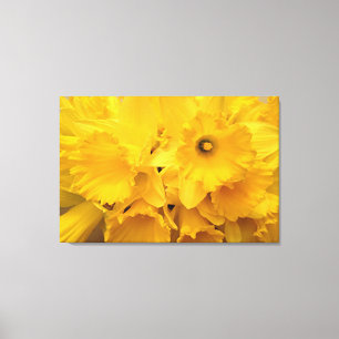 Impressão Em Tela Buquê dos Daffodils