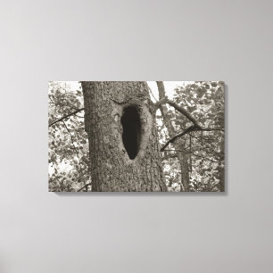 Impressão Em Tela Buraco Misterioso (Sepia)