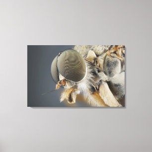 Impressão Em Tela Cabeça da mosca do Snipe