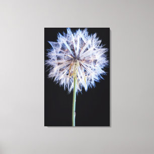 Impressão Em Tela Cabeça de Semente de Dente-de-Leão (Taraxacum Offi
