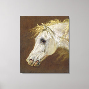 Impressão Em Tela Cabeça de um cavalo árabe cinzento (óleo em can