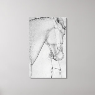 Impressão Em Tela Cabeça de um cavalo, o do álbum de Vallardi