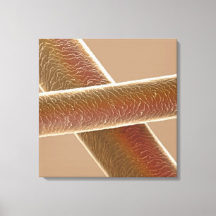 Impressão Em Tela Cabelos