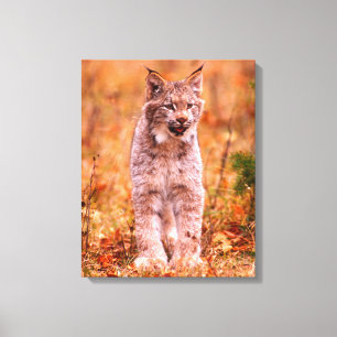 Impressão Em Tela Caça do Lince   Floresta de Outono