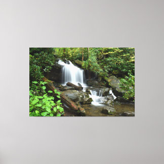 Impressão Em Tela Cachoeira no Parque Nacional Smoky Mountain