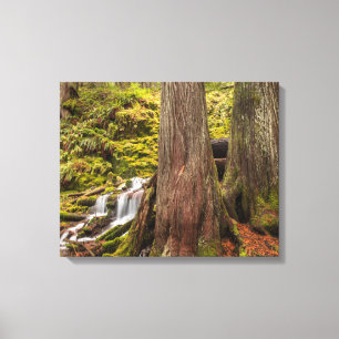 Impressão Em Tela Cachoeira White Branch, Oregon Cascades, Oregon
