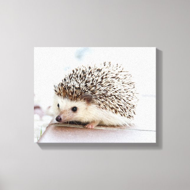 Impressão Em Tela Cachorro-Bebê (Frente)