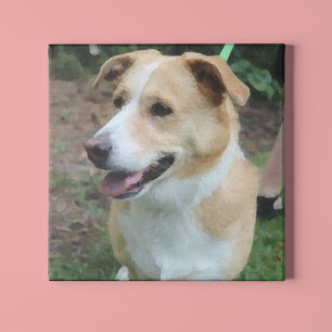Impressão Em Tela Cachorro de Baixo Poly em um Leash