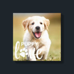 Impressão Em Tela Cachorro de Papoila Bonita Com Amor Personalizado<br><div class="desc">Puppy Love! Comemore seu melhor amigo com a impressão personalizada de tela de fotos de cachorros. Esta canvas de cachorro faz o presente perfeito para novos donos de filhotes e mães de cachorros. Personalize com a sua foto favorita do cachorro. COPYRIGHT © 2020 Judy Burrows, Black Dog Art - Todos...</div>