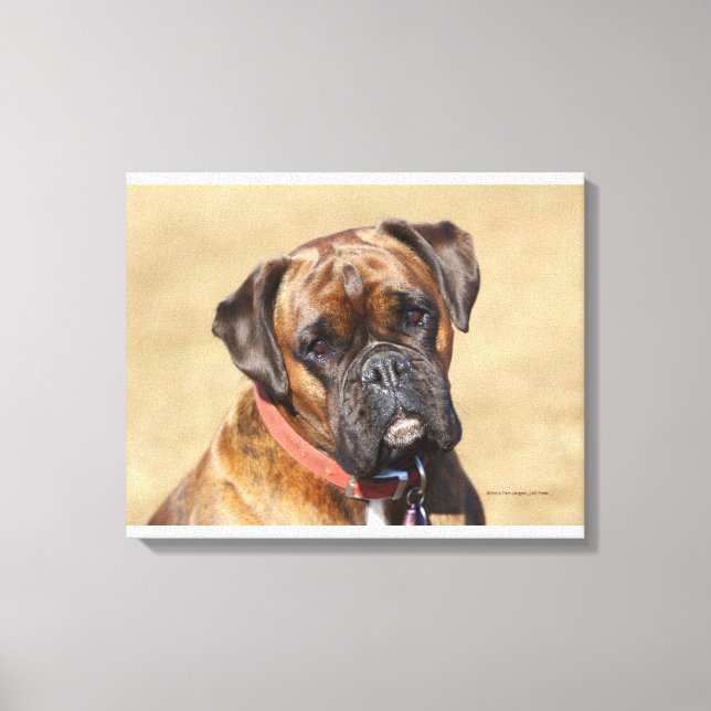 Impressão Em Tela Cachorro do Brindle Boxer (Frente)
