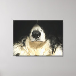 Impressão Em Tela Cachorro fechado