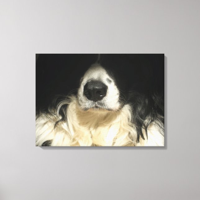 Impressão Em Tela Cachorro fechado (Frente)