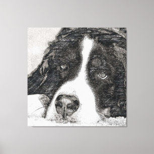 Impressão Em Tela Cachorro, fêmea, cão de montanha Bernese