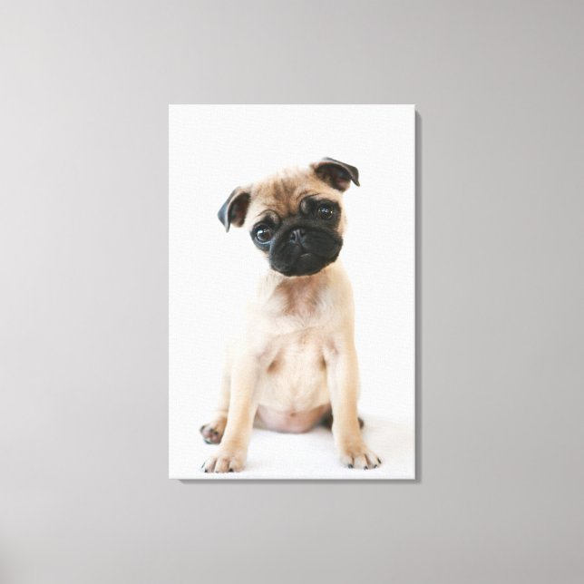 Impressão Em Tela Cachorro Jovem e Bonito (Frente)
