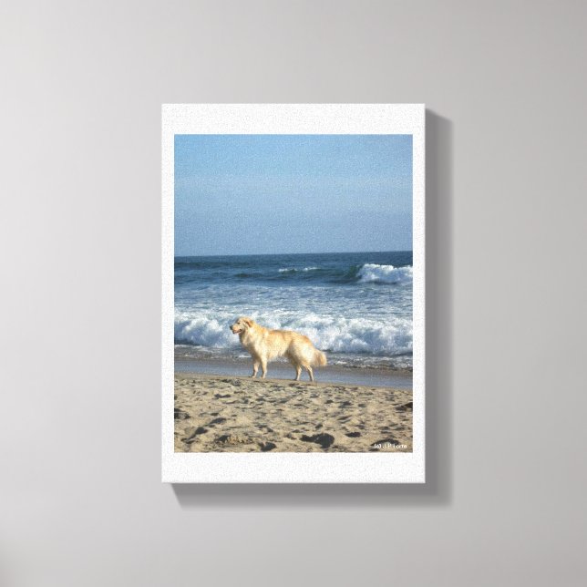 Impressão Em Tela Cachorro Na Praia (Frente)